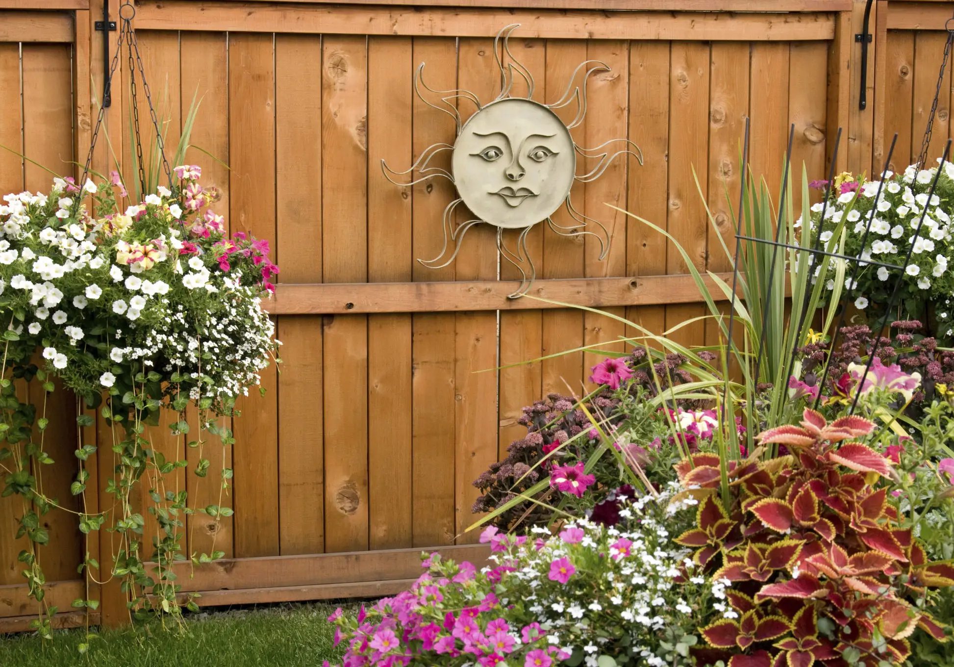 Colorful pots of flowers and hanging baskets in a backyard garden.